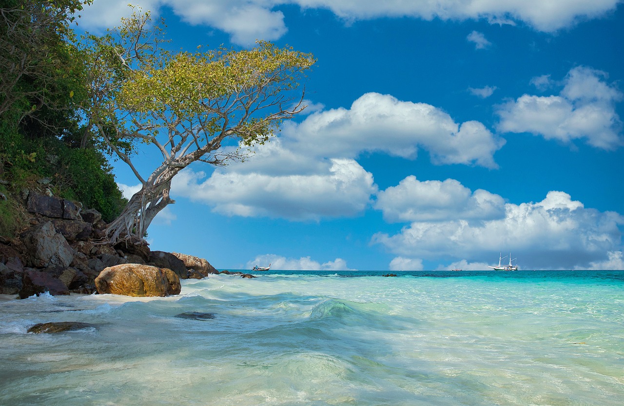 Tropical beach landscape in Thailand representing Thai botanical origin